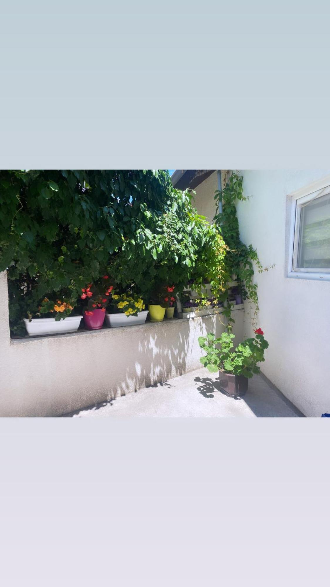 Galeb Apartment Ochryda Zewnętrze zdjęcie